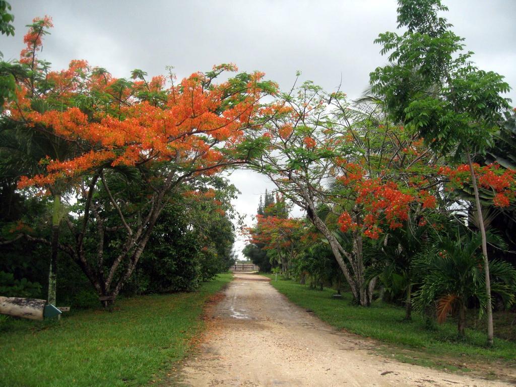Orchid Garden Eco-Village Hotel Belize Belize City Exterior photo