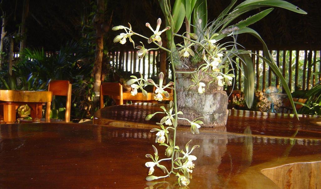 Orchid Garden Eco-Village Hotel Belize Belize City Exterior photo